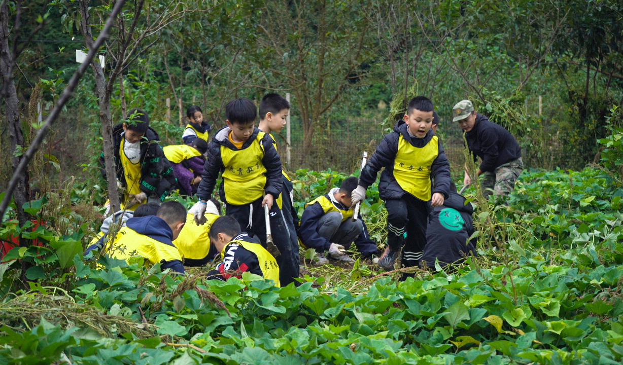 秋假首日 古蔺首批研学学子踏入山林开启探索之旅(图3)