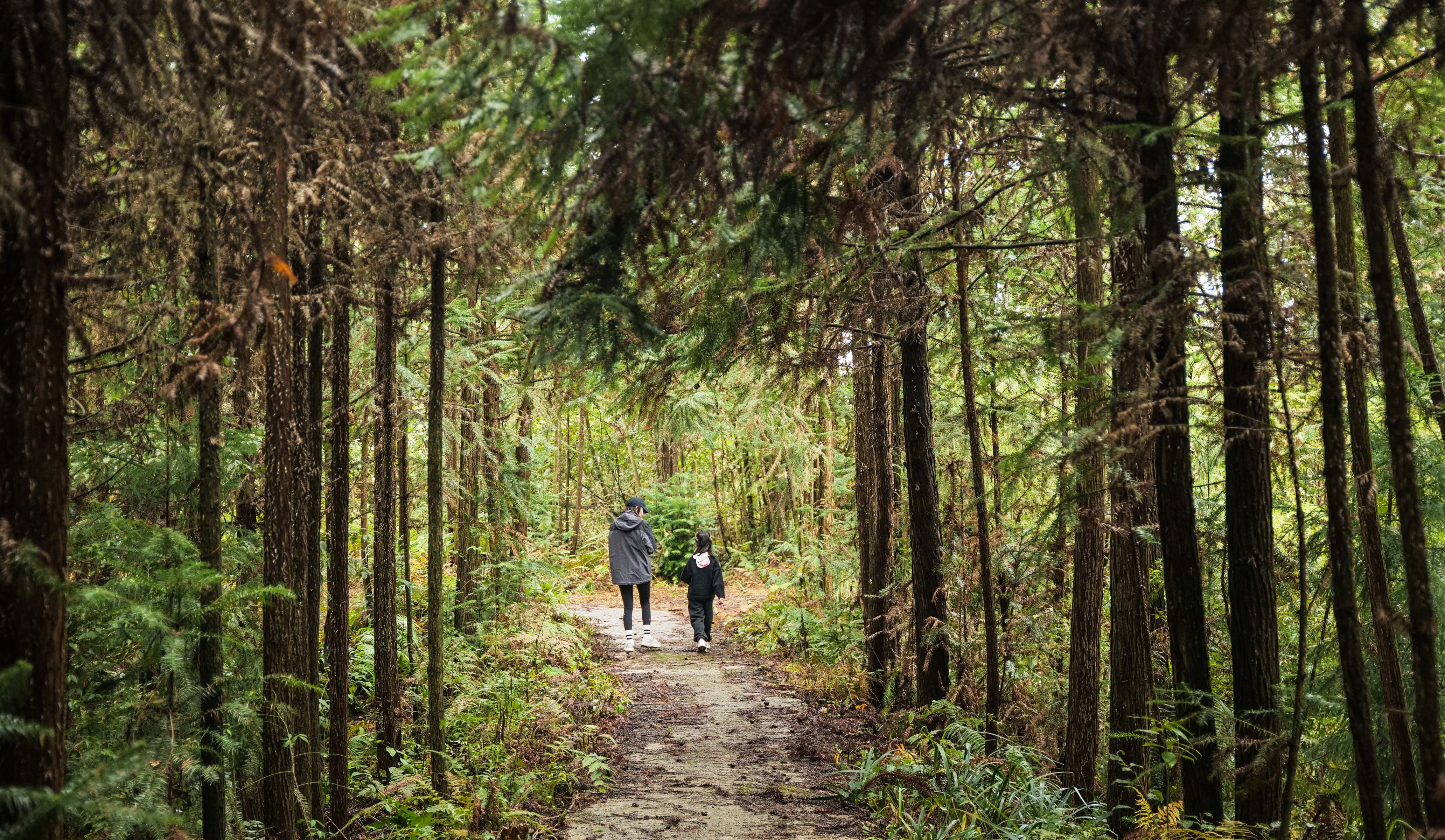 秋假首日 古蔺首批研学学子踏入山林开启探索之旅(图2)