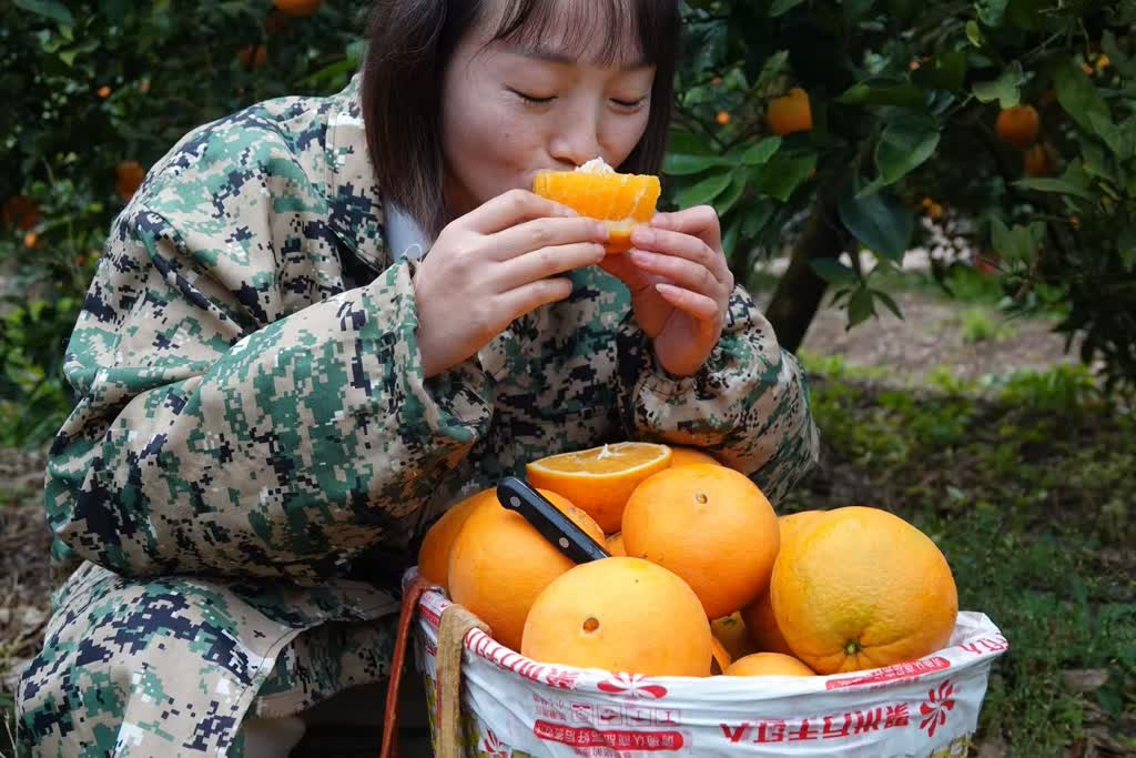 政策科技双Buff，马蹄镇交出亮眼“橙”绩单！