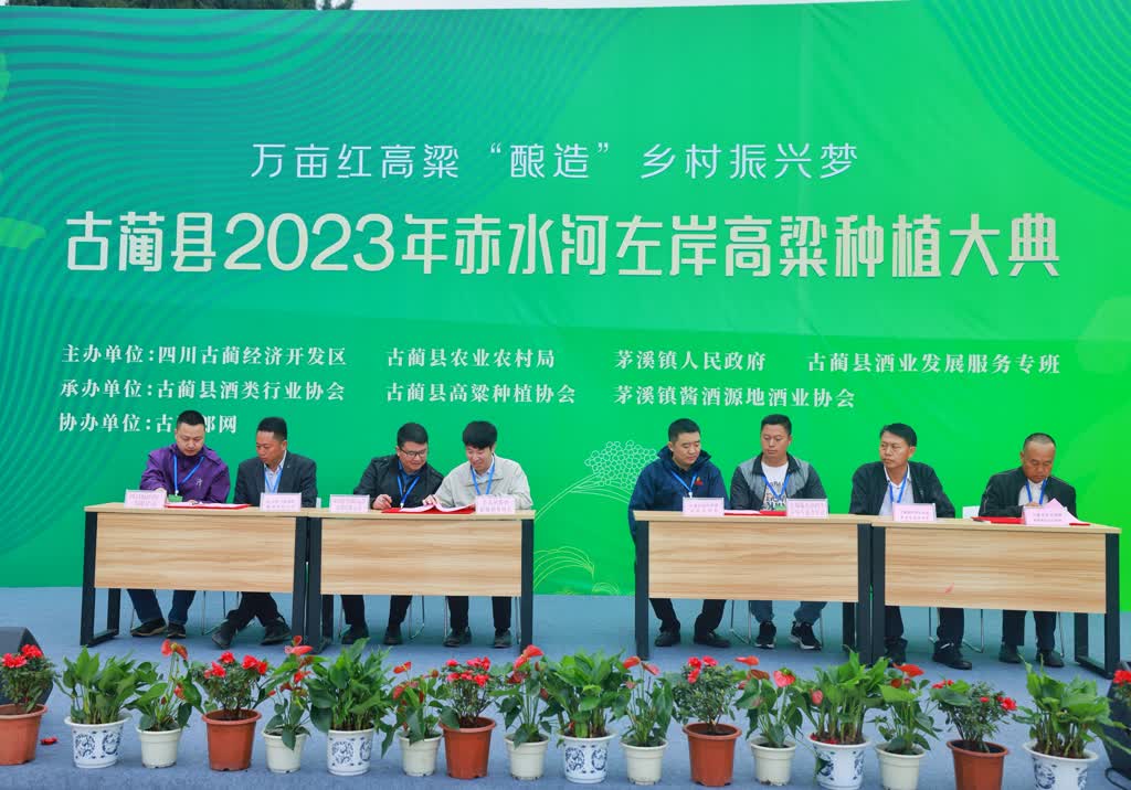古蔺县2023年赤水河左岸高粱种植大典举行(图3)