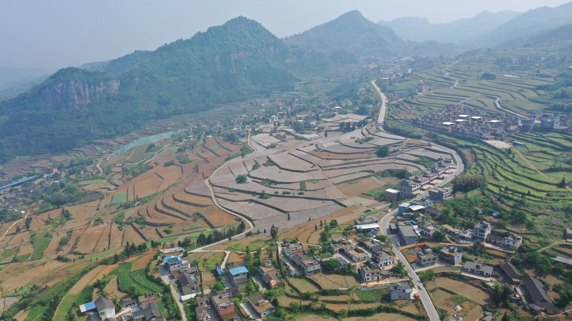 连线一把手石屏镇风情彝乡村美民富