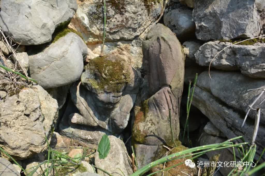 胡在勋:古蔺纳撒堡的“纳”插图2 胡在勋:古蔺纳撒堡的“纳”插图2